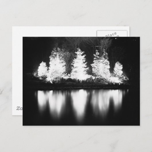 Cartes Pour Fêtes Annuelles Arbre de Noël noir et blanc (Devant / Derrière)