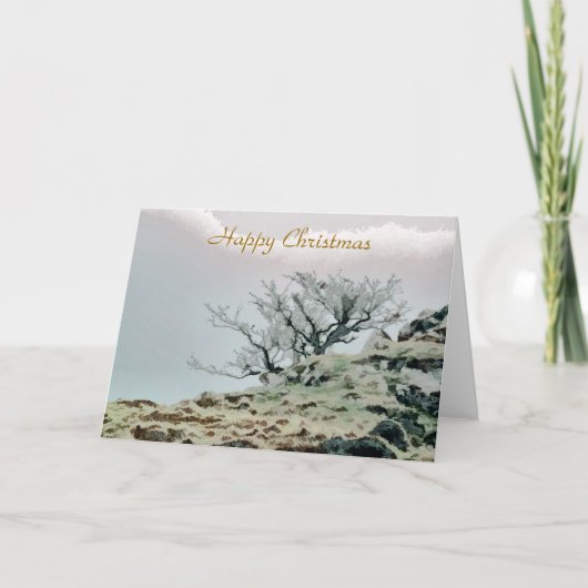 CARTES POUR FÊTES ANNUELLES ARBRES (Devant)