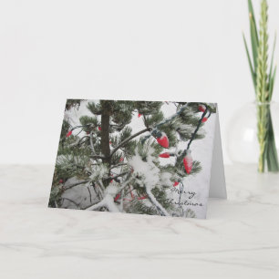 Cartes Pour Fêtes Annuelles Arbres d'hiver chargés de neige