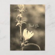 Arbres et fleurs romantiques – Poème de fantaisie