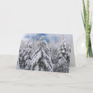 Cartes Pour Fêtes Annuelles Arbres neigeux