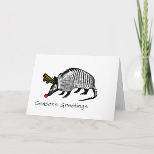 Cartes Pour Fêtes Annuelles Armadillo de Noël
