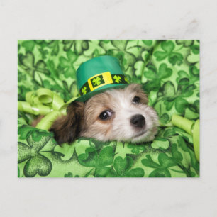 Cartes Pour Fêtes Annuelles Arrière - plan chiot irlandais mignon 