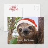 Cartes Pour Fêtes Annuelles Arrière - plan de Noël (Devant / Derrière)