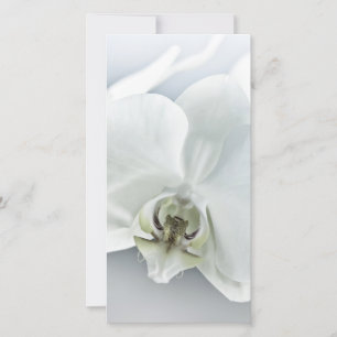 Cartes Pour Fêtes Annuelles Art botanique de l'orchidée blanche élégante