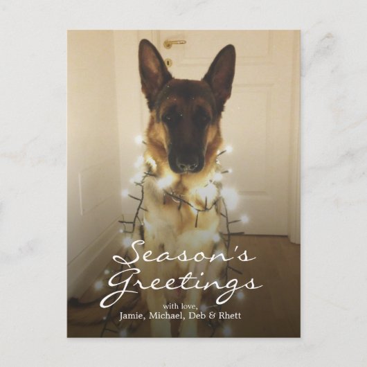 Cartes Pour Fêtes Annuelles As-tu dit Père Noël Paws ? (Devant)