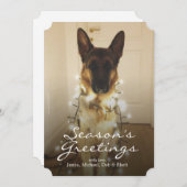 Cartes Pour Fêtes Annuelles As-tu dit Père Noël Paws ? (Devant / Derrière)