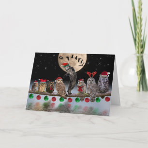 Cartes Pour Fêtes Annuelles Asio dansant avec des hiboux le soir de Noël