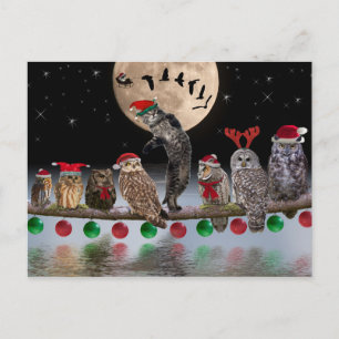 Cartes Pour Fêtes Annuelles Asio dansant avec des hiboux le soir de Noël