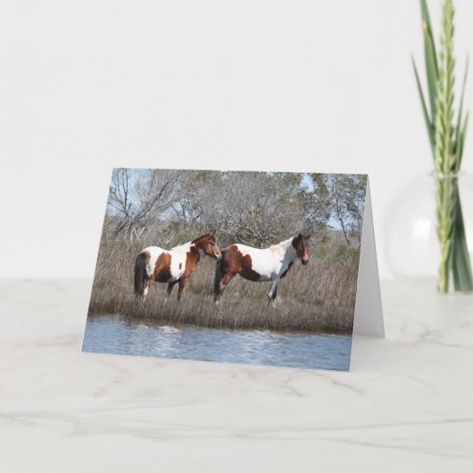 Cartes Pour Fêtes Annuelles Assateague Ponies, Merci (Devant)