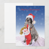 Cartes Pour Fêtes Annuelles Assistant père Noël (Devant / Derrière)