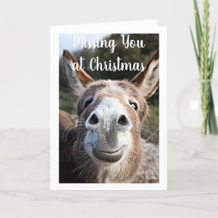 CARTES POUR FÊTES ANNUELLES AT *CHRISTMAS DONKEY MISSES YOU* & NOT HAPPY :(