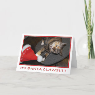 Cartes Pour Fêtes Annuelles Attaque II de chat de Noël