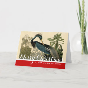 Cartes Pour Fêtes Annuelles Audubon Héron de Louisiane Oiseaux Amérique Art