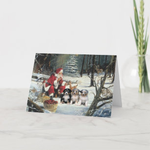 Cartes Pour Fêtes Annuelles Australian Shepherd Christmas Card Woods