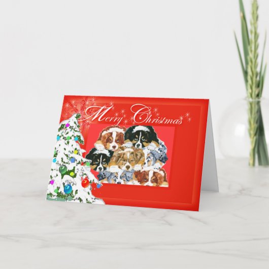 Cartes Pour Fêtes Annuelles Australian Shepherd Joyeux Noël (Devant)