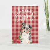 Cartes Pour Fêtes Annuelles Australian Shepherd Red Plaid Noël (Devant)