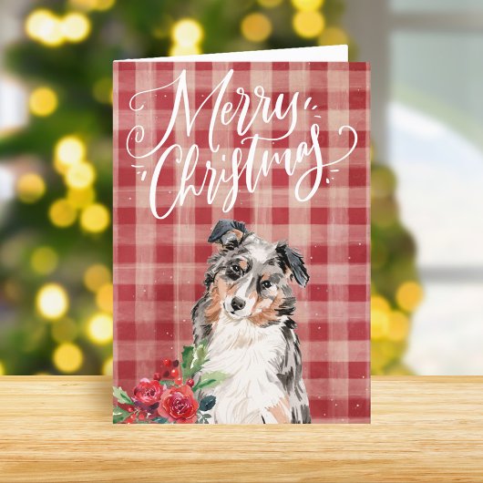 Cartes Pour Fêtes Annuelles Australian Shepherd Red Plaid Noël