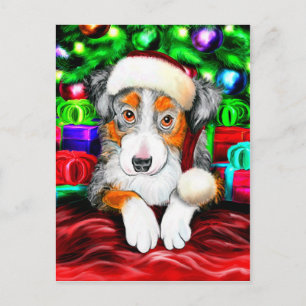 Cartes Pour Fêtes Annuelles Australie Berger Noël Open Cadeaux