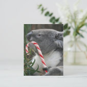 Cartes Pour Fêtes Annuelles Australie Noël Koala Bear (Debout devant)