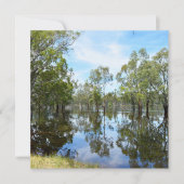 Cartes Pour Fêtes Annuelles Australie The River Murray, (Devant)