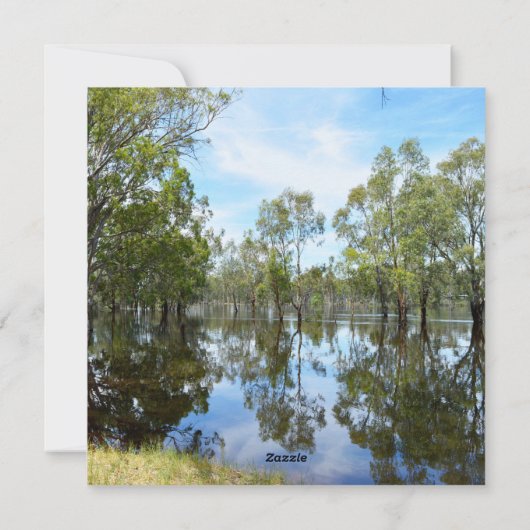 Cartes Pour Fêtes Annuelles Australie The River Murray, (Dos)