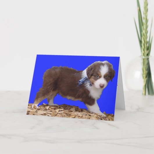 Cartes Pour Fêtes Annuelles Australien de heureuse Sainte-Valentin (Devant)