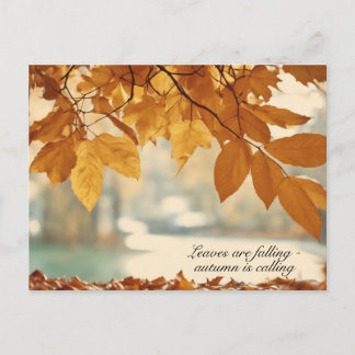 Cartes Pour Fêtes Annuelles Automne Feuilles Paysages