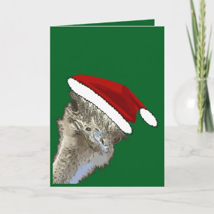 Cartes Pour Fêtes Annuelles Autruche portant un chapeau de Père Noël Animal de