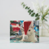 Cartes Pour Fêtes Annuelles Avoir des catsmas à dessein Drôle Chat de Noël (Debout devant)