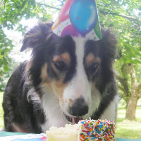 "Avoir ton gâteau et le manger aussi !"