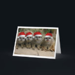 Cartes Pour Fêtes Annuelles Ayez Noël de Meerkat !<br><div class="desc">Joyeux Noël de la carte de voeux de Meerkats !</div>
