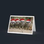 Cartes Pour Fêtes Annuelles Ayez Noël de Meerkat !<br><div class="desc">Joyeux Noël de la carte de voeux de Meerkats !</div>