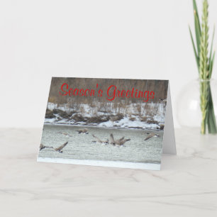 Cartes Pour Fêtes Annuelles B7 oies canadiennes en vol