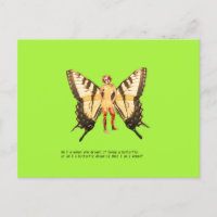 Babfly woman