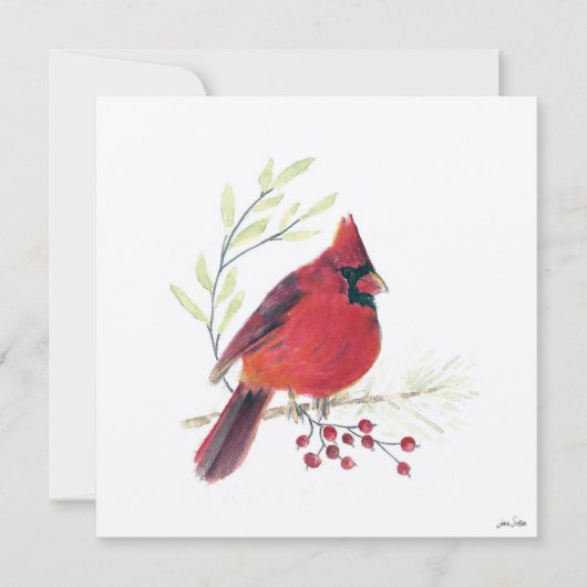 Cartes Pour Fêtes Annuelles Baies de Cardinal de Fête (Devant)