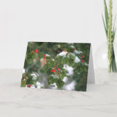 Cartes Pour Fêtes Annuelles Baies de neige (Dos)