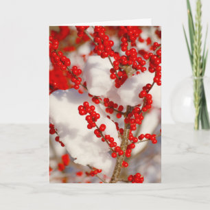 Cartes Pour Fêtes Annuelles Baies Rouges Neige Photo Noël Xmas Vacances