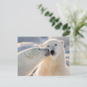 Cartes Pour Fêtes Annuelles Baiser de l'ours polaire (Debout devant)