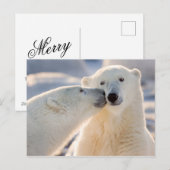 Cartes Pour Fêtes Annuelles Baiser de l'ours polaire (Devant / Derrière)