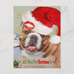 Cartes Pour Fêtes Annuelles Baisers Bulldog Anglais Pour Noël