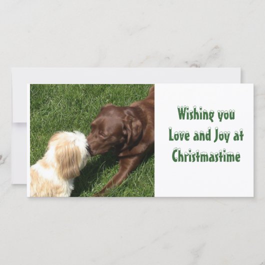 Cartes Pour Fêtes Annuelles Baisers de Noël de chiens de laboratoire de (Devant)