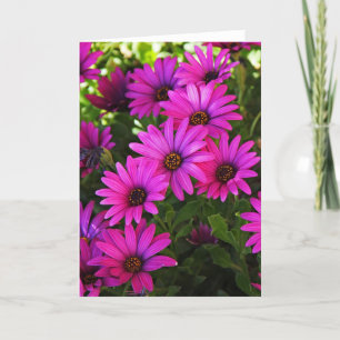 Cartes Pour Fêtes Annuelles Baisy d'Afrique violet