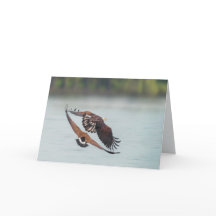 Bald Eagle et Goose Wildlife Blank