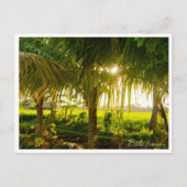 Cartes Pour Fêtes Annuelles Bali Palm Trees & Ricefield Postcard (Devant)