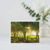 Cartes Pour Fêtes Annuelles Bali Palm Trees & Ricefield Postcard (Debout devant)