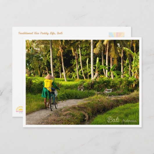 Cartes Pour Fêtes Annuelles Bali Rice Field Sunset Postcard (Devant / Derrière)