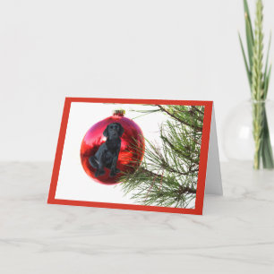 Cartes Pour Fêtes Annuelles Balle de Noël du Labrador Retriever Hanging8