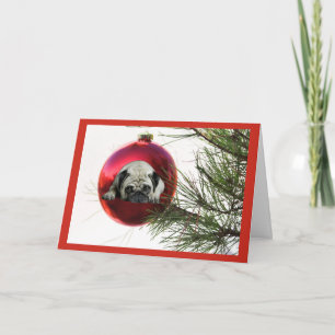 Cartes Pour Fêtes Annuelles Balle de Pug Christmas