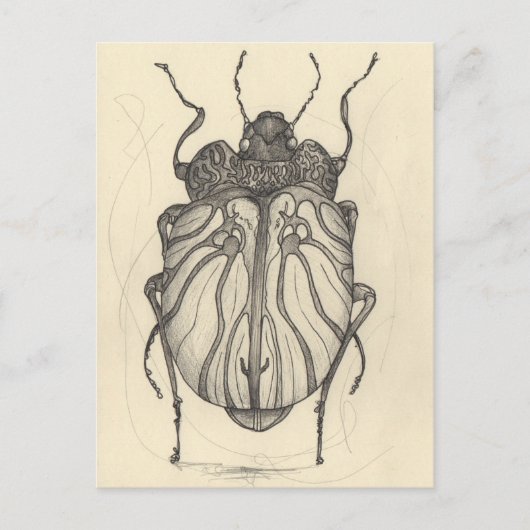 Cartes Pour Fêtes Annuelles Ballet de coléoptère (Devant)